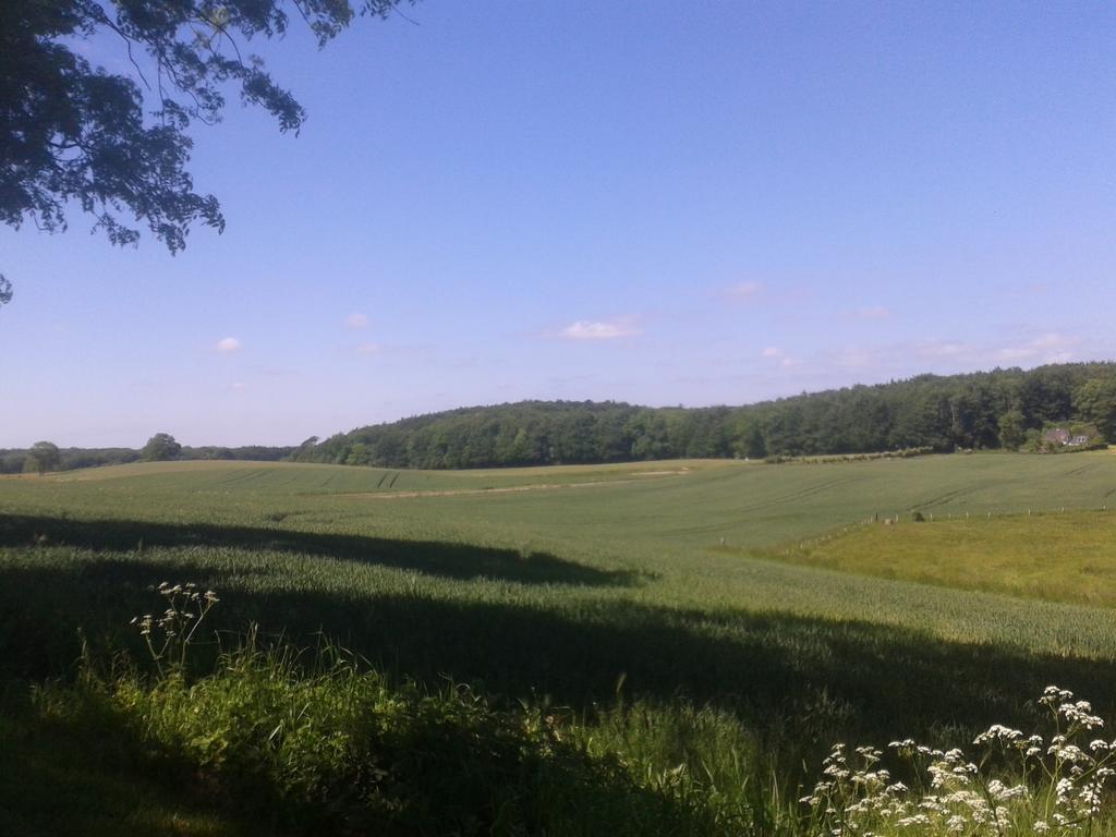 Ostsee Reetkate Langballig Rom bilde