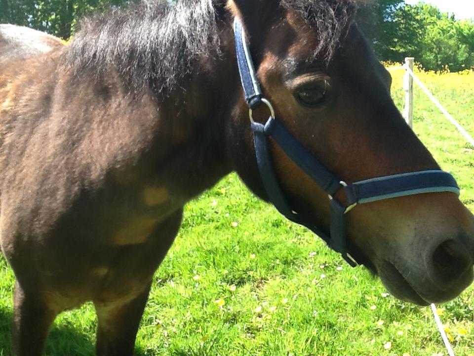 Ostsee Reetkate Langballig Eksteriør bilde